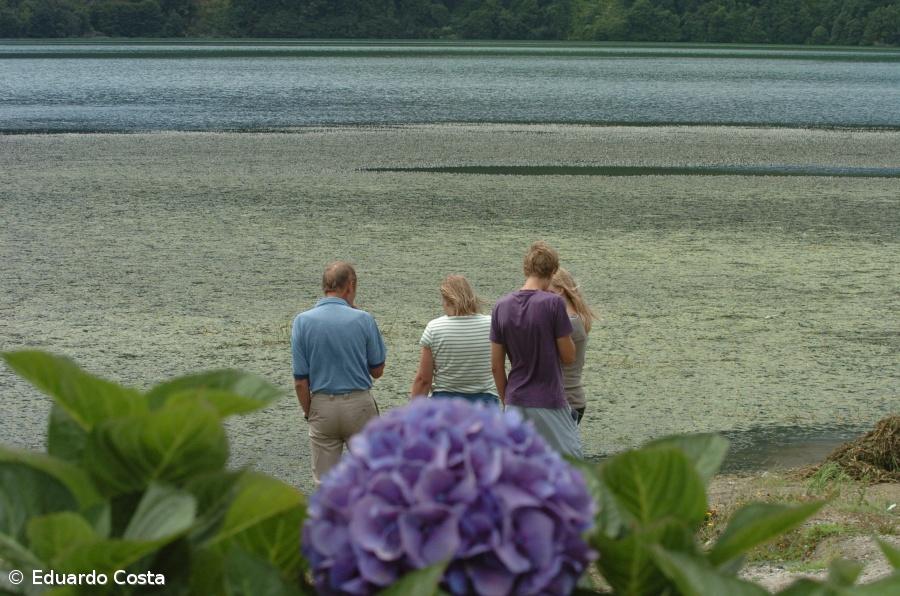 Açores dizem ter legislação para garantir preservação ambiental com chegada das 'low cost' – Imagem 1