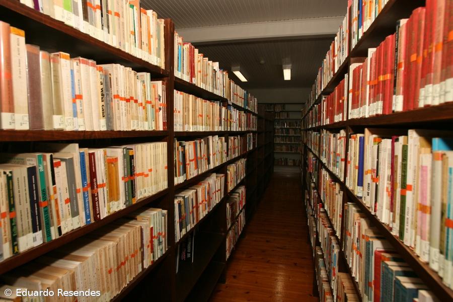 Após prémio literário nos EUA, Isolda Brasil lança primeiro romance em português – Imagem 1