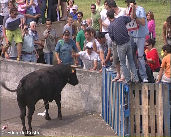Touradas à corda têm duração máxima de três horas – Imagem 1