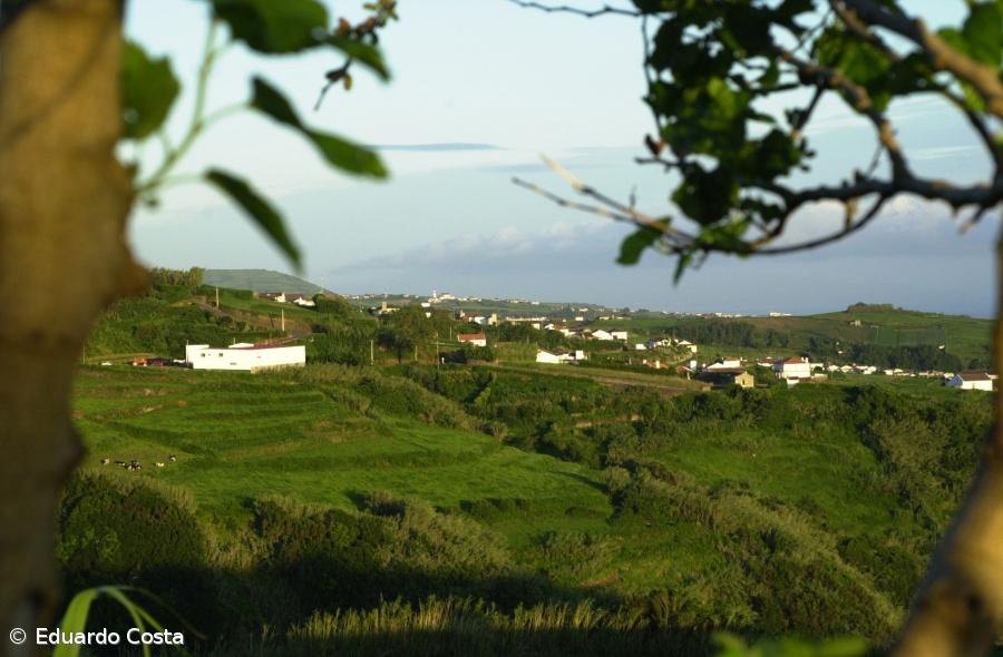 Turismo rural nos Açores beneficiará com "low cost" em S. Miguel  – Imagem 1