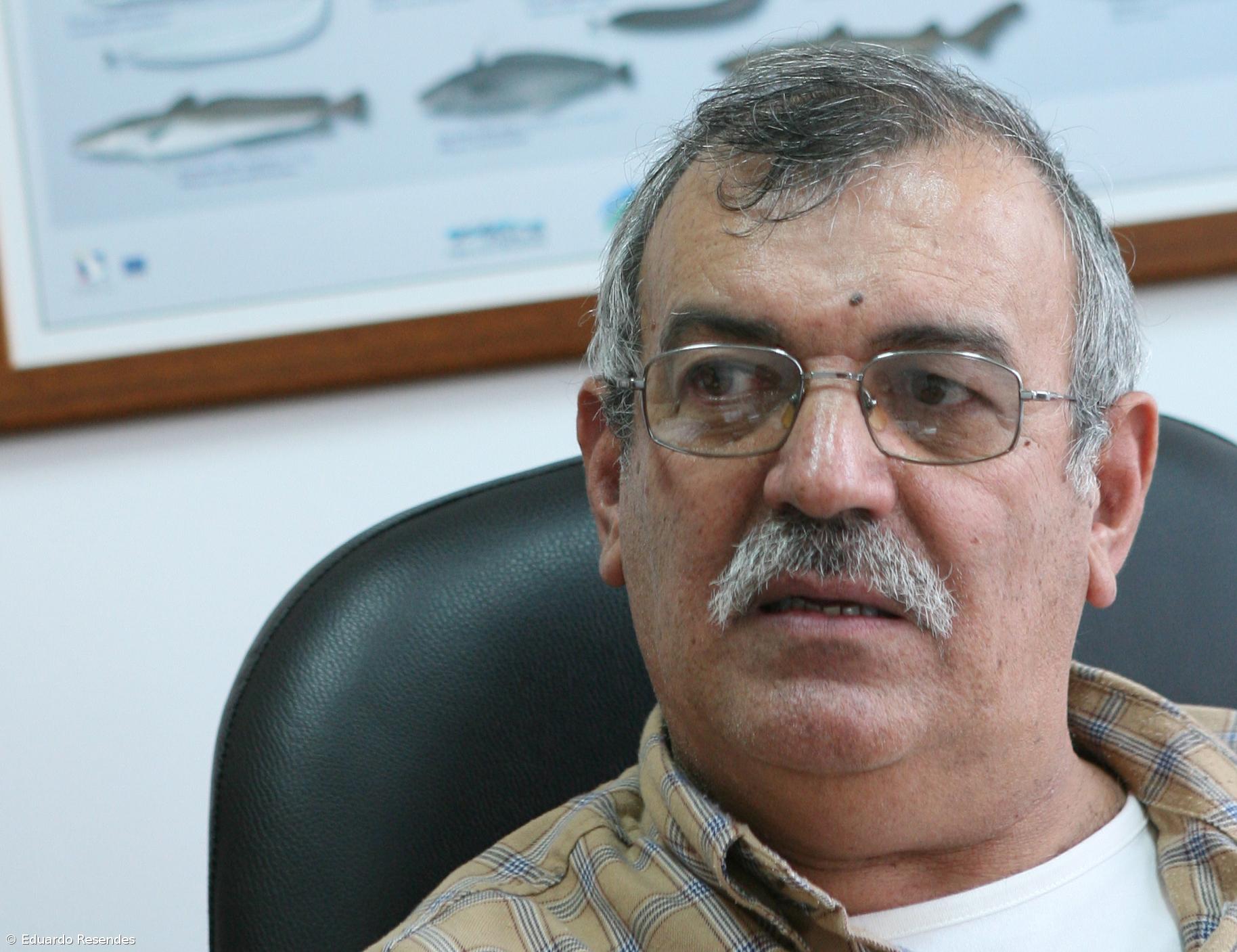 Porto de Abrigo quer fundo de emergência para apoiar pequena pesca – Imagem 1