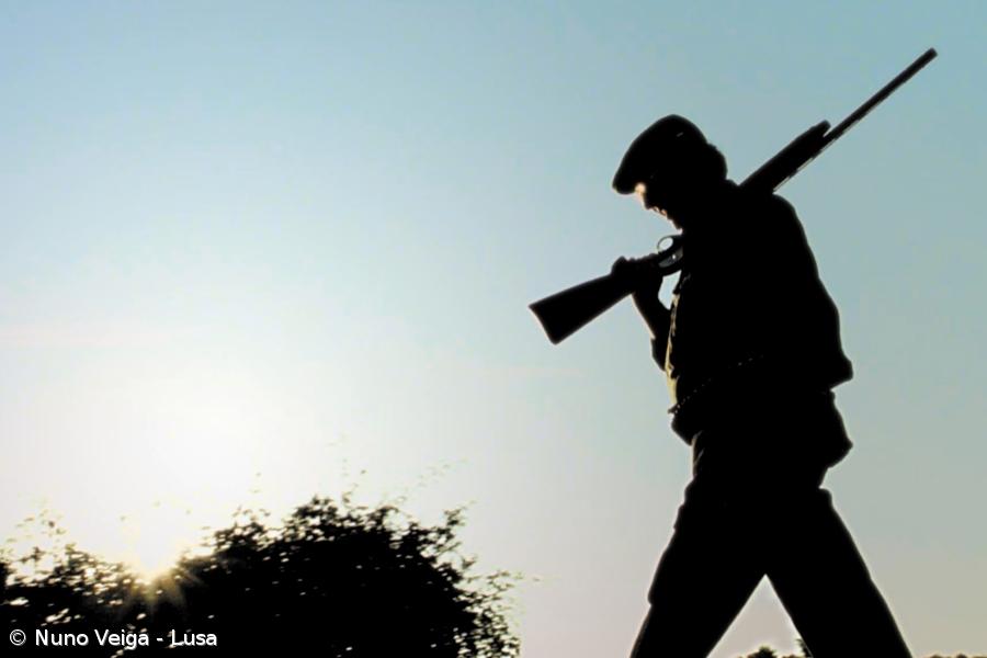 SPEA propõe alterações à caça nos Açores – Imagem 1