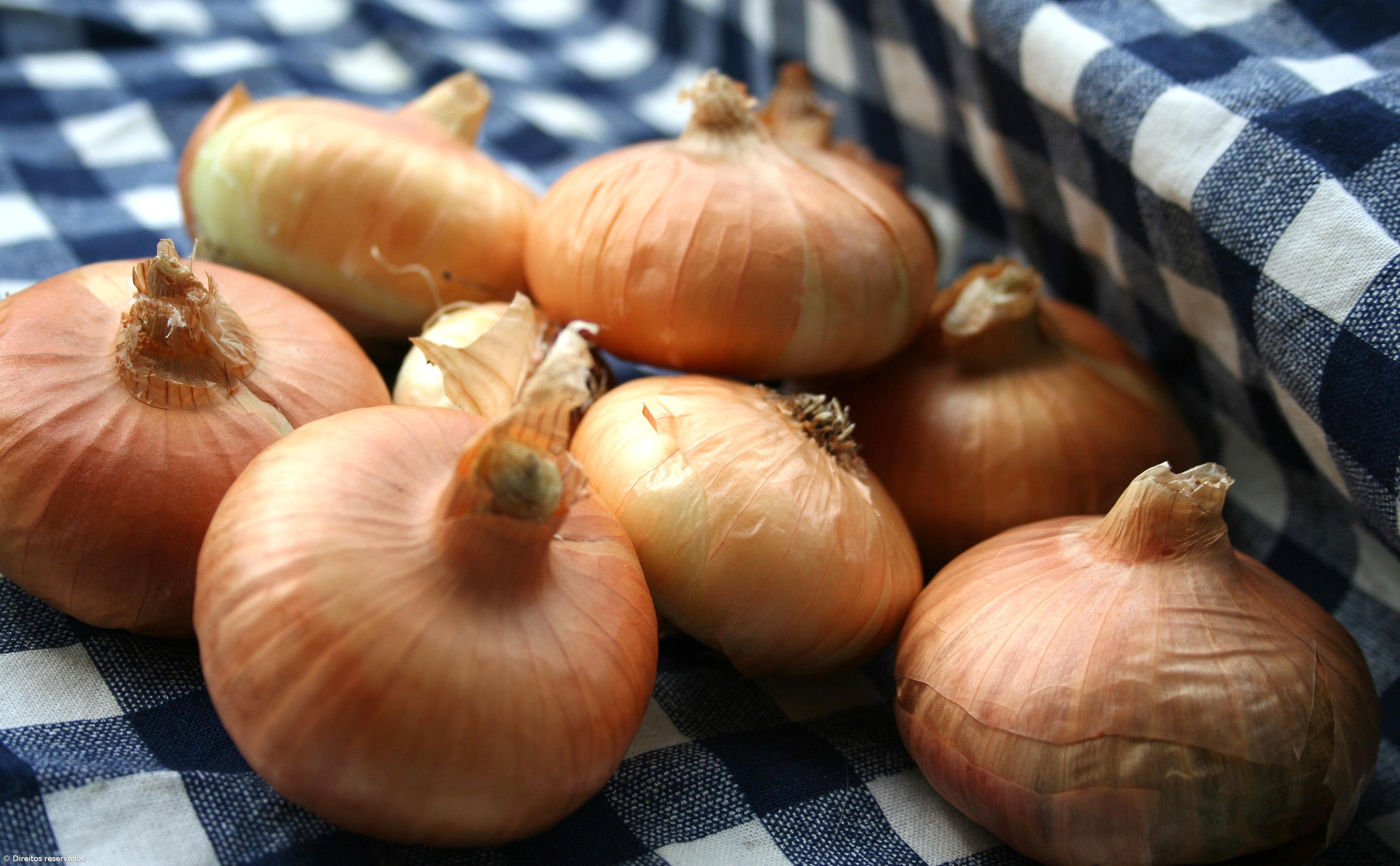 Cebola para grávidas e jovens vendida por empresa que quer novos mercados – Imagem 1