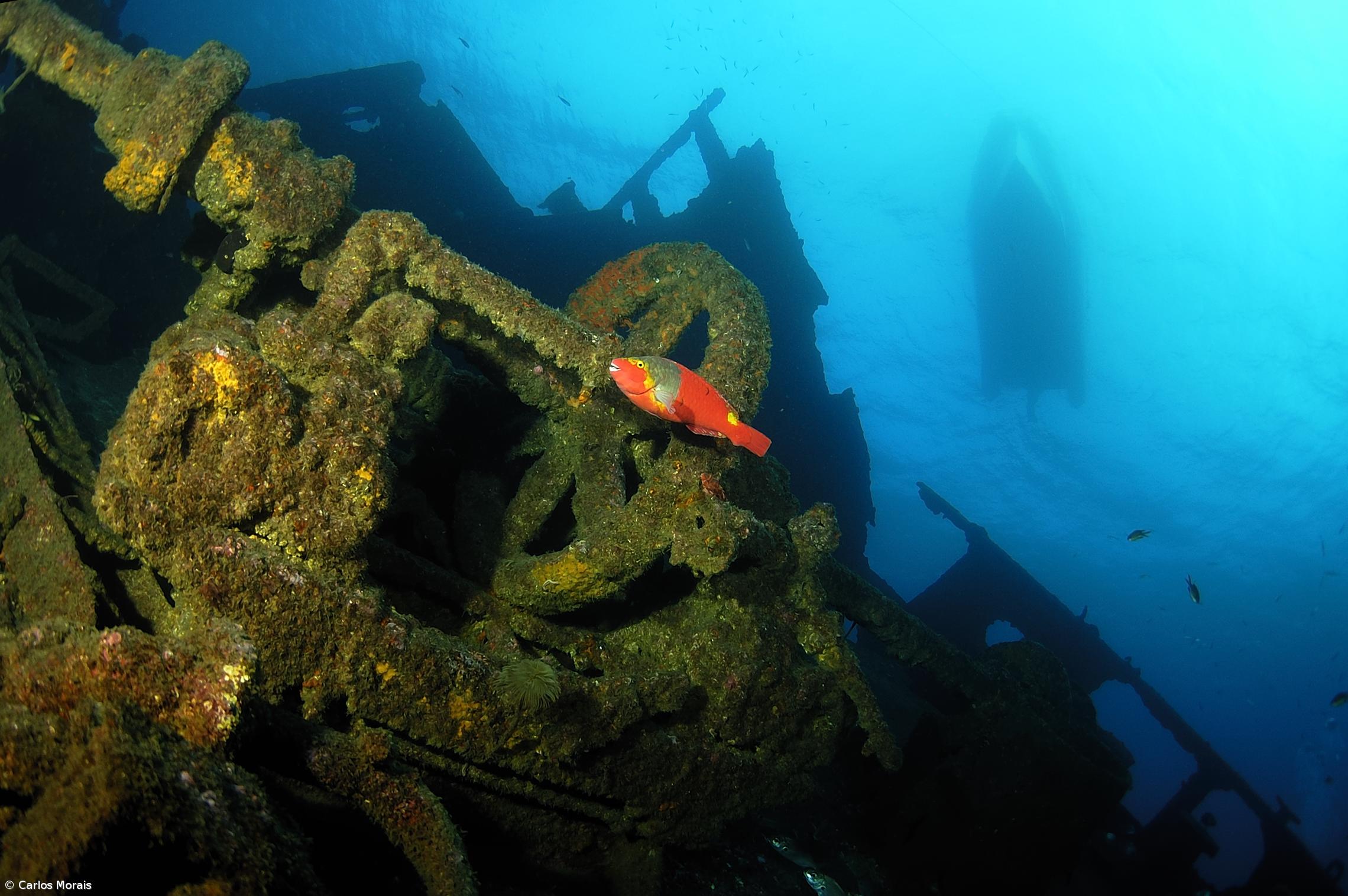 Guia do património subaquático para atrair mais visitantes – Imagem 1