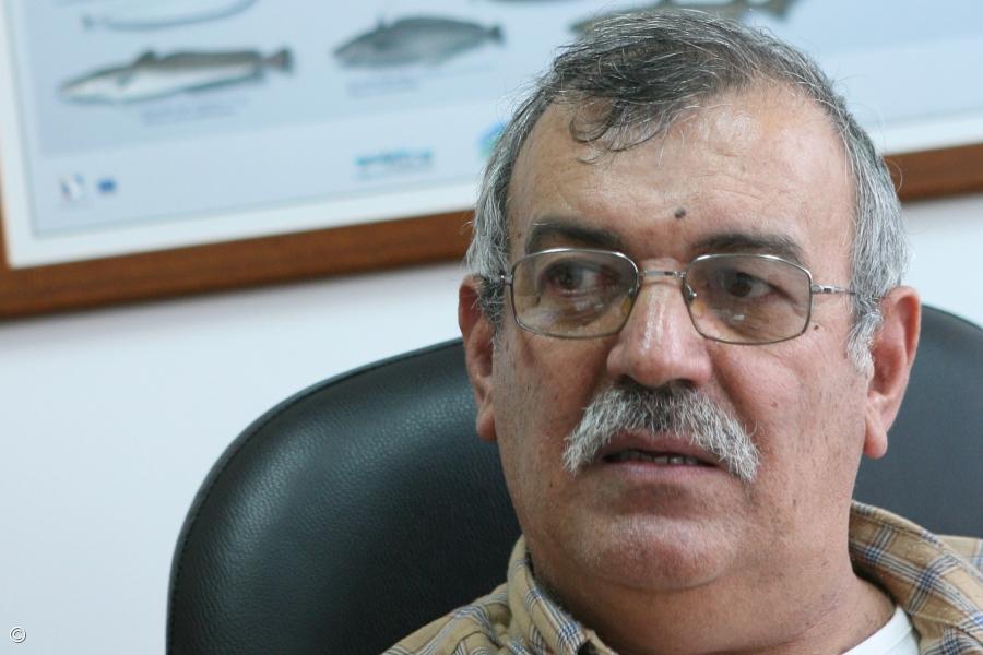 Pescadores dos Açores insistem em compensação pela quebra de rendimentos – Imagem 1