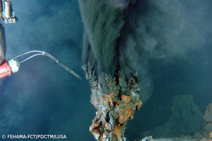 Investigadores caracterizam genoma inédito a nível mundial – Imagem 1