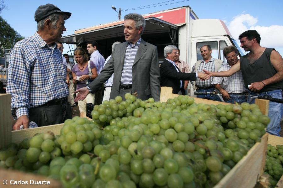 “A democracia adoece se a abstenção alastra”  – Imagem 1