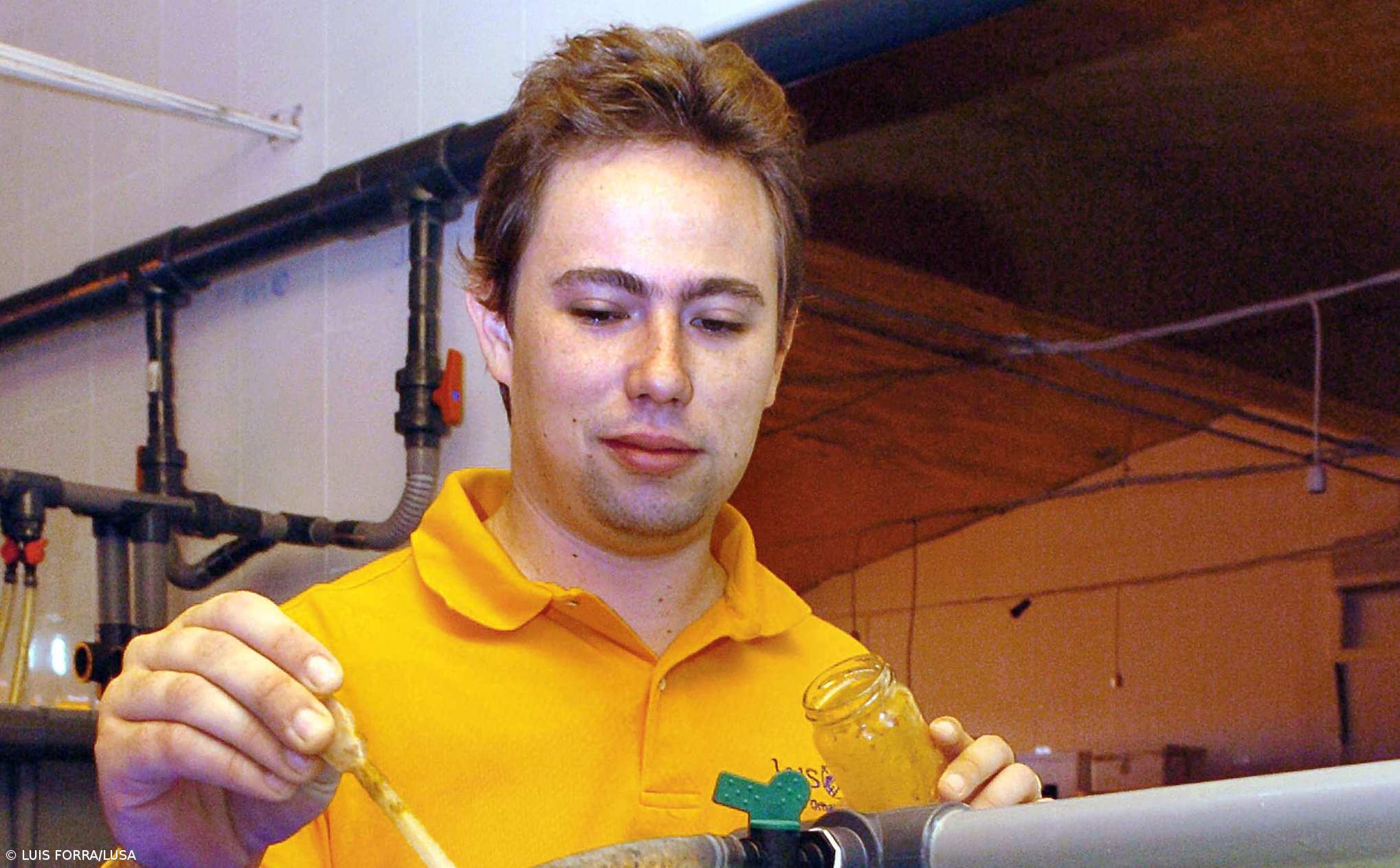 Empresa algarvia é a maior produtora europeia de camarão para aquário  – Imagem 1