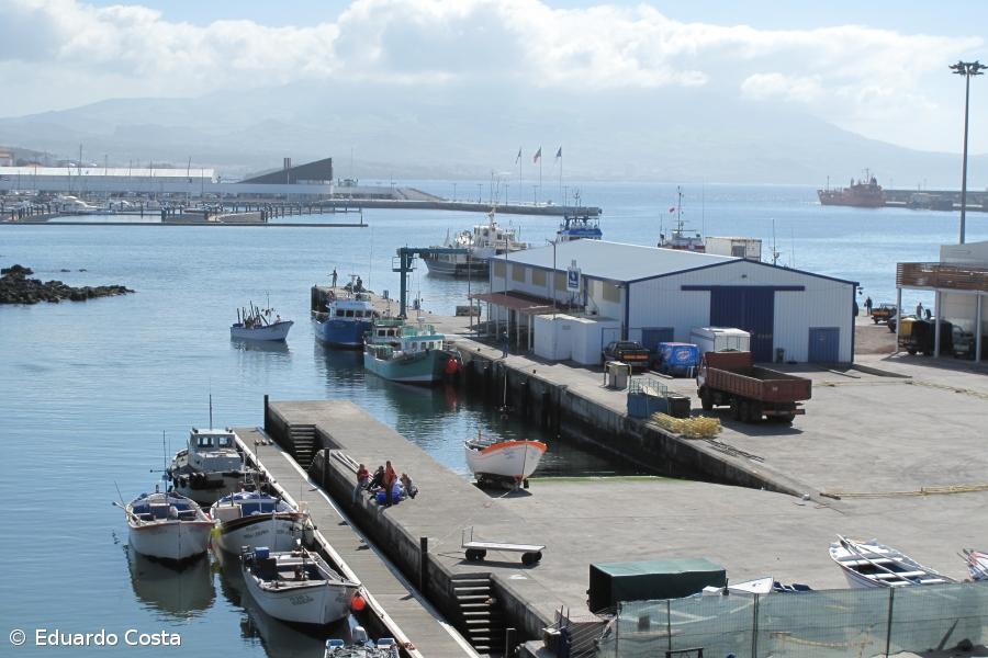 Região adquire mais de 12 mil caixas para pescado por ano – Imagem 1