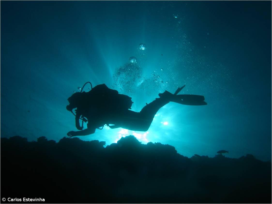 Carlos Estevinha e João Ribeiro vencem 1º CompactaFotoSub – Imagem 1