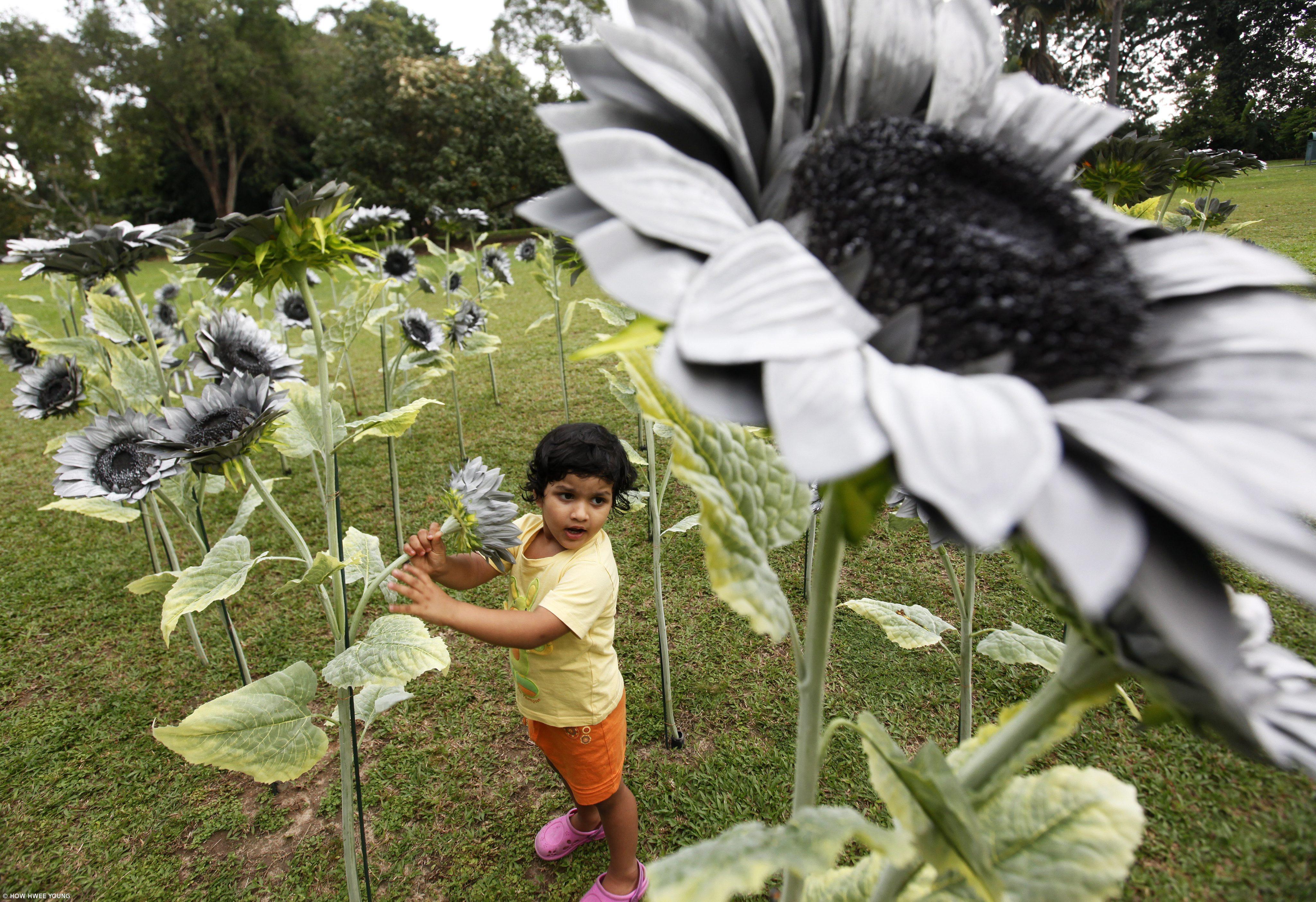 Portugueses são dos menos satisfeitos com espaços verdes nas cidades – Imagem 1