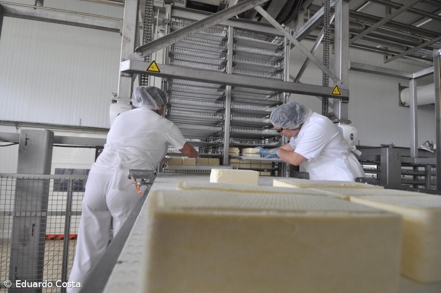 Ligeira quebra na produção de queijo até Setembro – Imagem 1