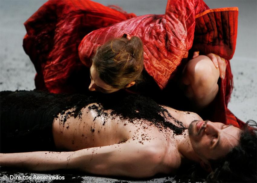 Três espectáculos de bailado contemporâneo aos Açores – Imagem 1