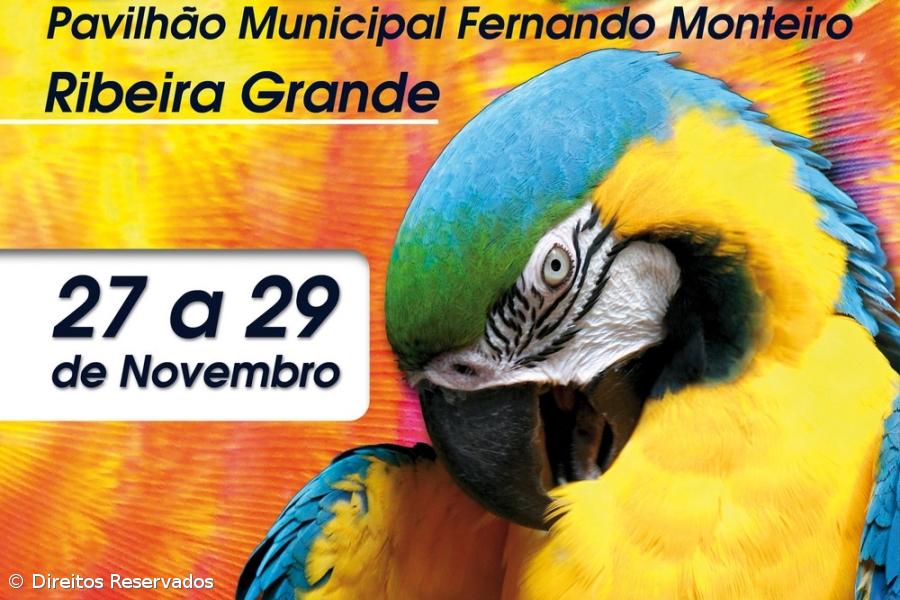 Expo Aves 2009 na Ribeira Grande – Imagem 1
