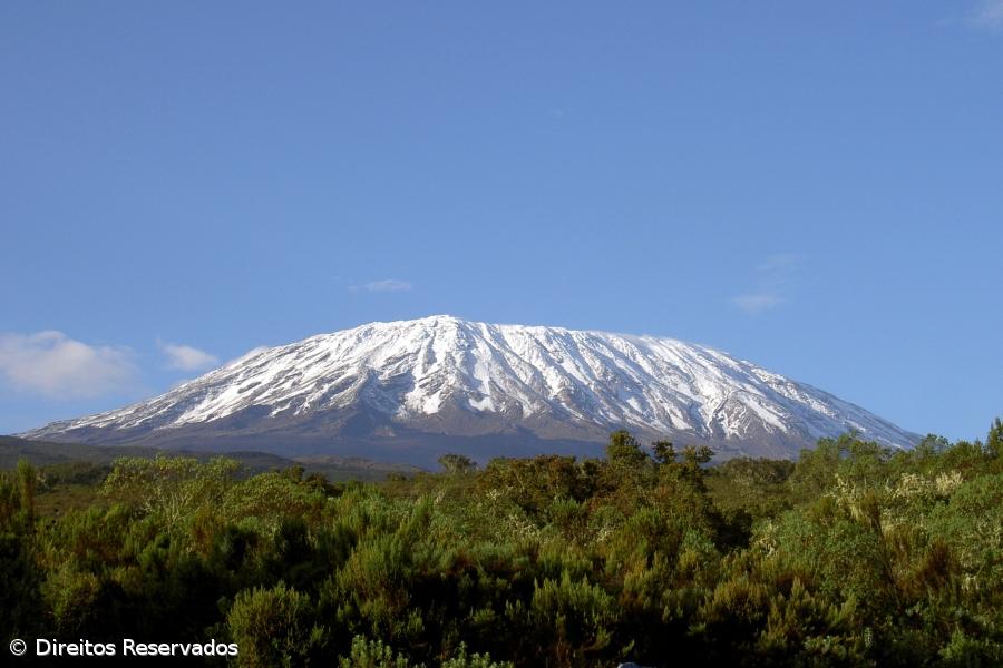 Queijo de S. Jorge e chá da Gorreana a 3800 metros de altitude – Imagem 1