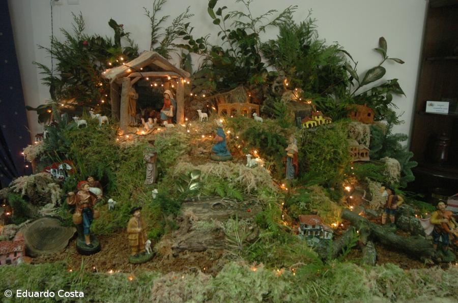 "Fazer o presépio de outros tempos já não é fácil" – Imagem 1
