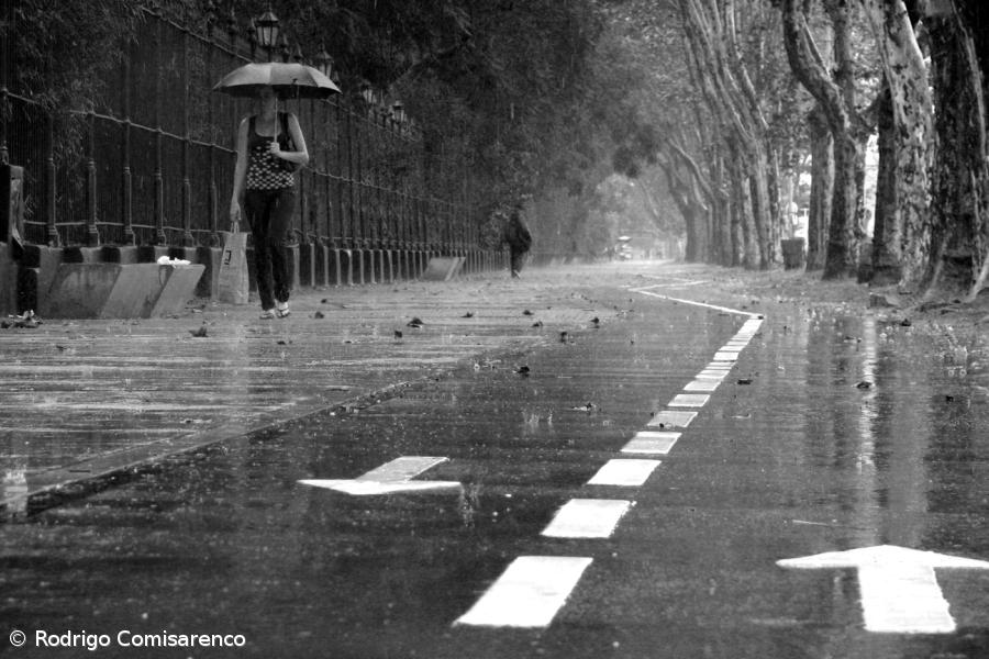 Todos os distritos de Portugal Continental sob aviso amarelo devido à previsão de chuva forte  – Imagem 1