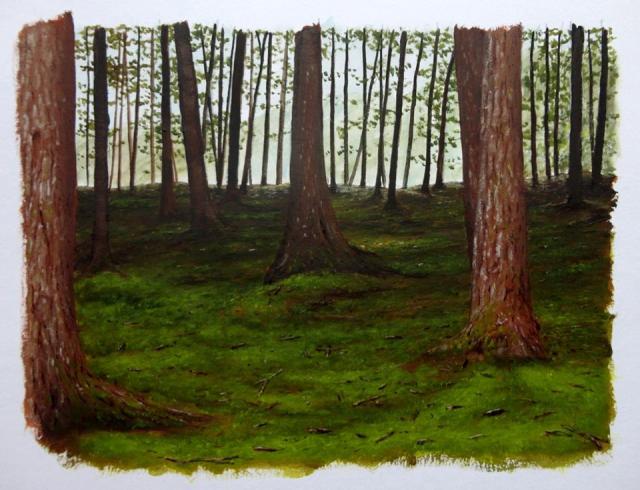 Martim Cymbron expõe "Recantos da Ilha - Aguarelas"