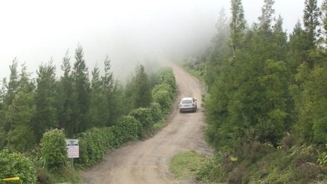 Nevoeiro condiciona primeiro dia de reconhecimentos (vídeo)