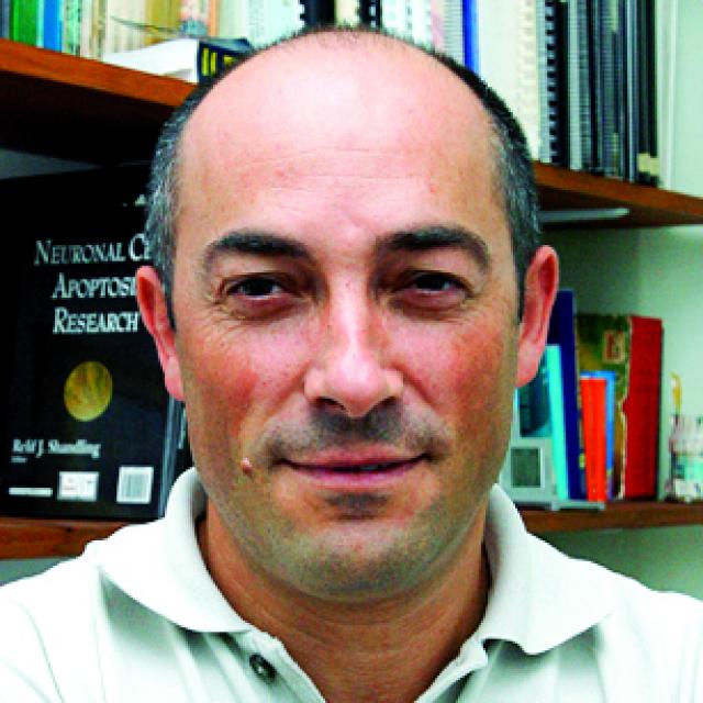 A Ciência como motor da Economia