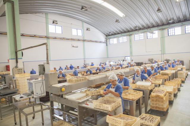 “Gerir uma fábrica é inovar todos os dias e quem não inova fica para trás”