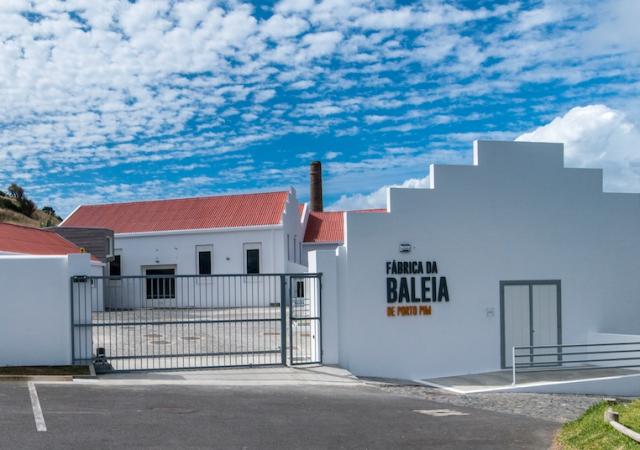 Horta inaugura espaço interpretativo do património cultural e natural subaquático