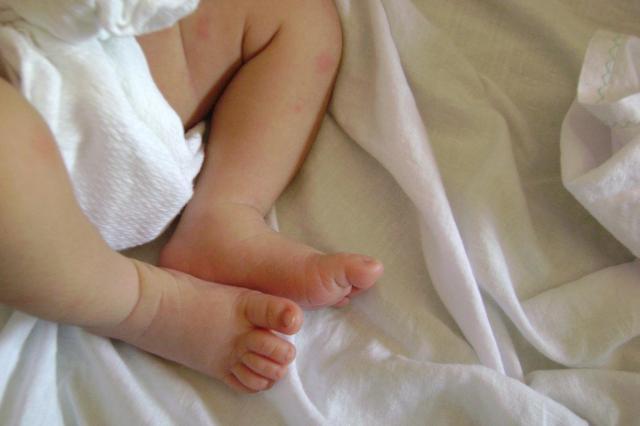 Mais de 500 sinalizações por crianças expostas ao consumo de drogas dos pais