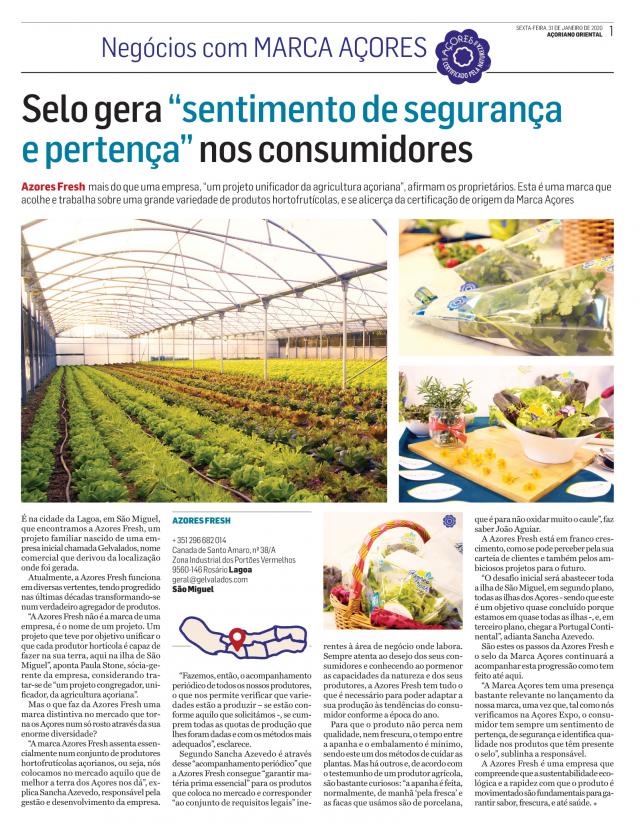 Suplemento Negócios com Marca Açores - janeiro