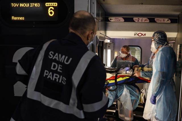 França deteta novo caso de hantavírus transmissível entre humanos