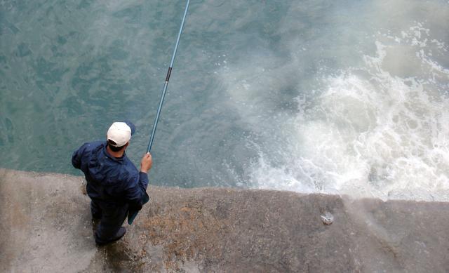 Registo eletrónico de capturas disponível para pescadores recreativos nos Açores