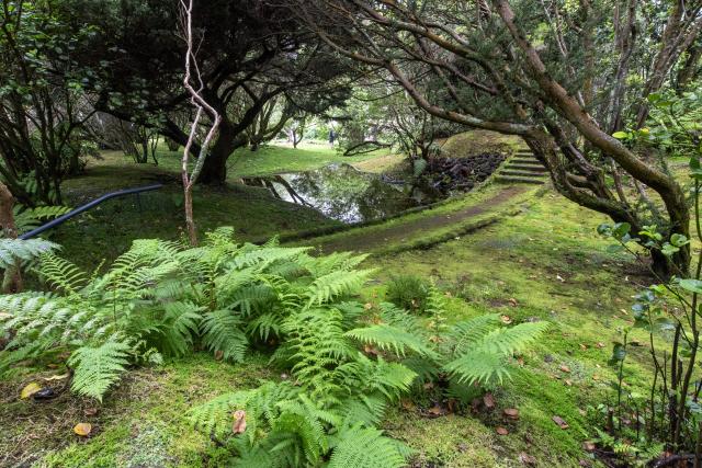Quatro décadas a preservar a natureza dos Açores