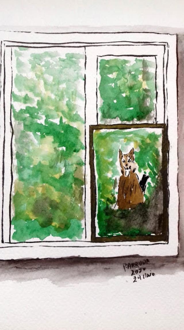 Moldura quadro e enquadramento