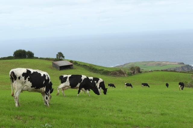 Dívida do Governo da República aos agricultores da Região cresce para 26ME