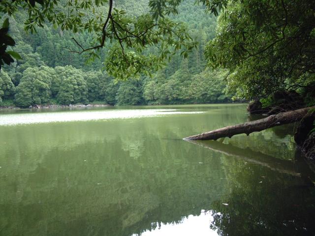 Lagoas com diferenças nas emissões de gases