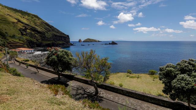 Peixes encontrados mortos em piscinas naturais na Graciosa