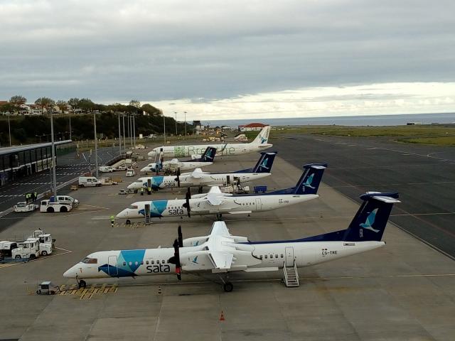 SATA quer que novo processo de venda contribua para sustentabilidade da Azores Airlines