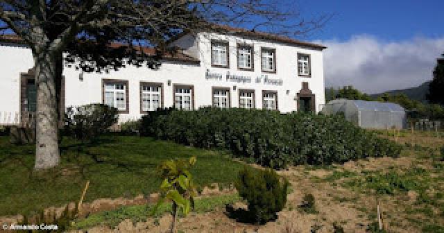 Atividades do Centro Pedagógico da Povoação