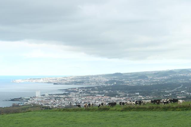 André Ventura foi o candidato mais votado na Lagoa