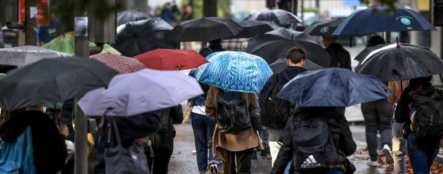 São Miguel com “significativa quebra” da chuva no inverno
