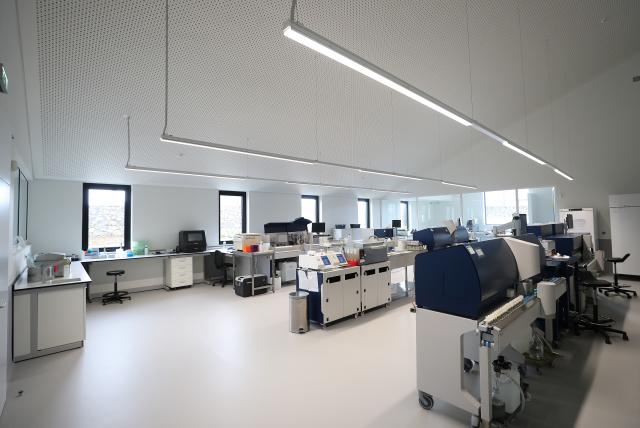 Qualidade higiénica e sanitária do leite supera exigências europeias