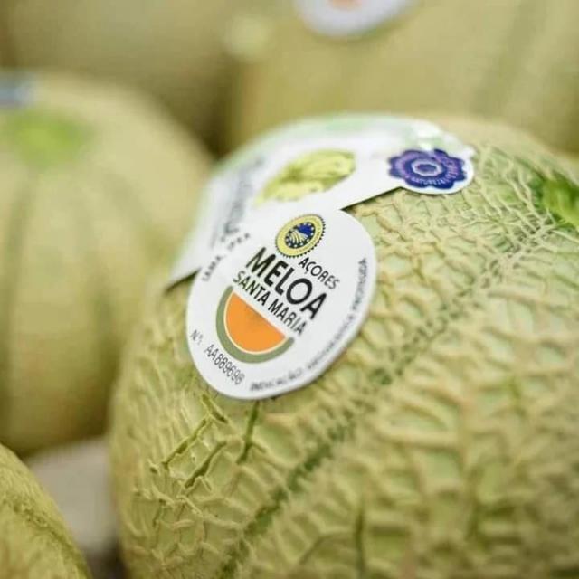 A singular meloa da Ilha Amarela