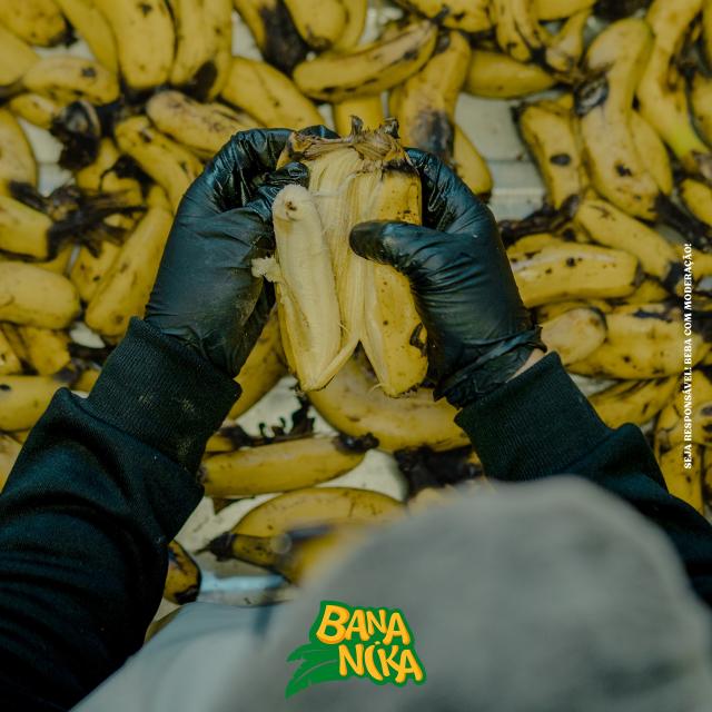 Sidra de banana, conservas de peixe fumado ou mel são algumas das produções de Tibério Barbeito