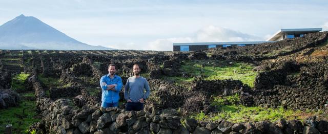 Azores Wine Company, dez anos a revolucionar o setor dos vinhos nos Açores