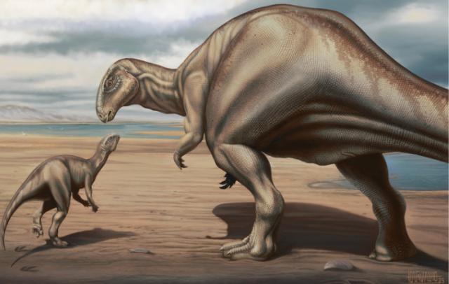 Descoberto novo dinossauro que viveu em Portugal há quase 150 milhões de anos