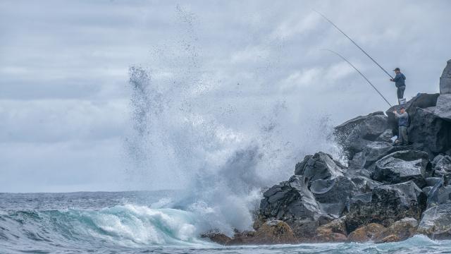 Autoridade de Gestão vai operacionalizar proteção das áreas marinhas nos Açores