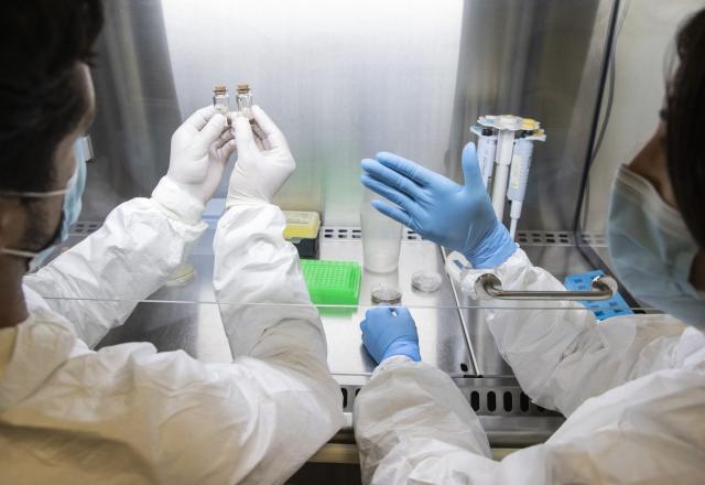 Norovírus identificado em casos de gastroenterite em São Miguel 