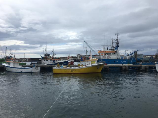 Pescado descarregado nos Açores gerou 5,2 ME em maio 