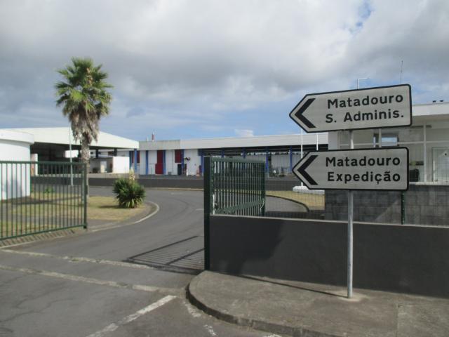 Rede regional de abate dos Açores renova certificação em bem-estar animal