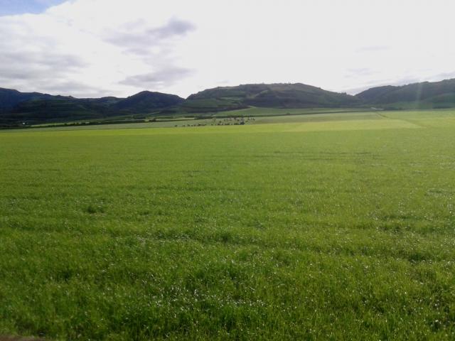 Empresários açorianos pedem a Portugal, Espanha e França que defendam a manutenção do POSEI