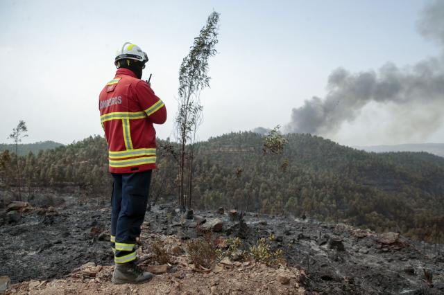 Fogos de 2024 e 2025 revelaram “falhas de coordenação”